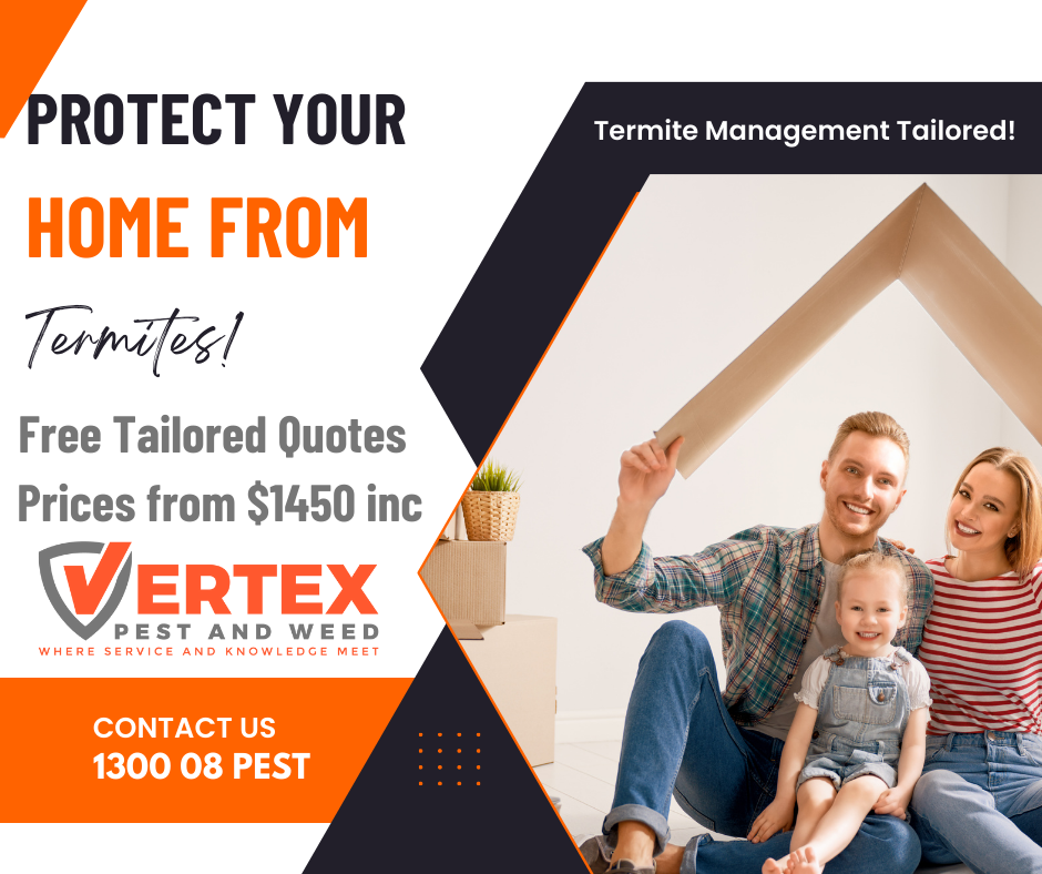 Termite Control - Perth